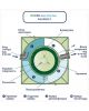 Гринлос Аква 6 Лонг - фото 5
