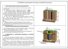 Барс Эко 8